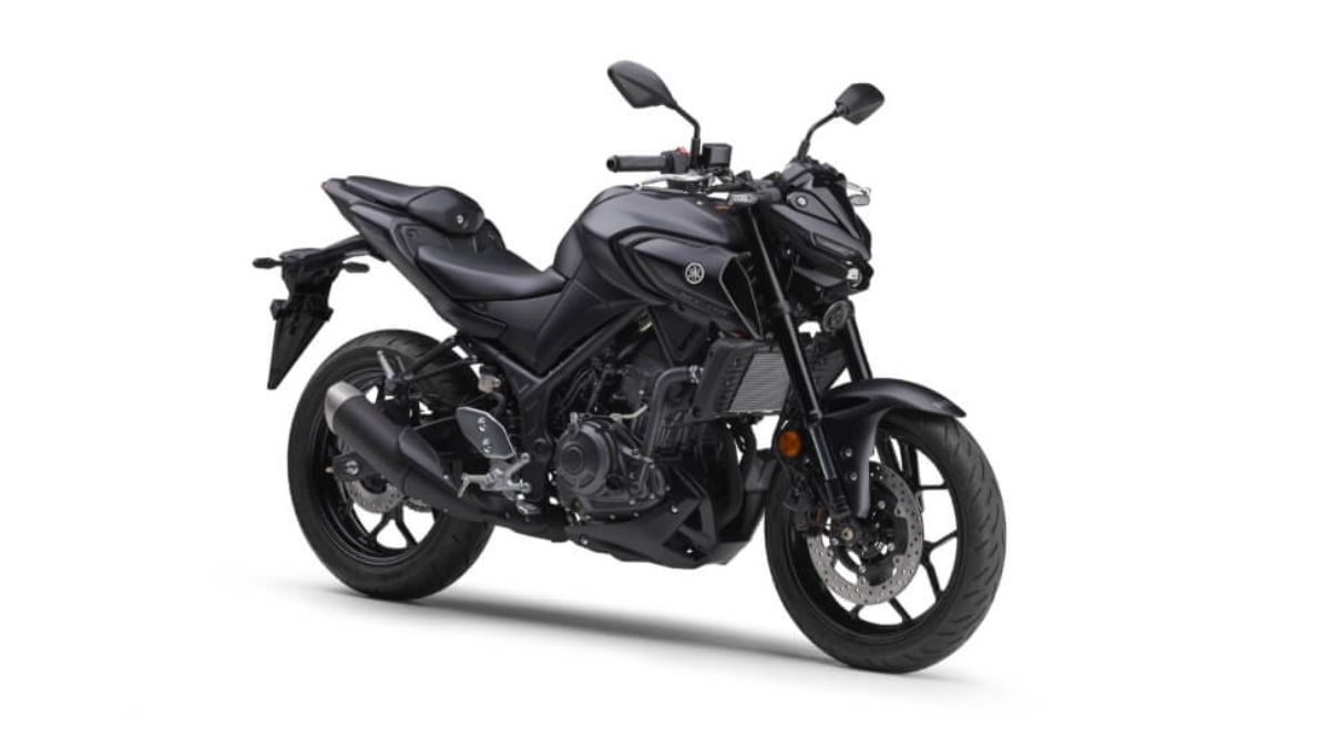 2025 Yamaha MT-25
